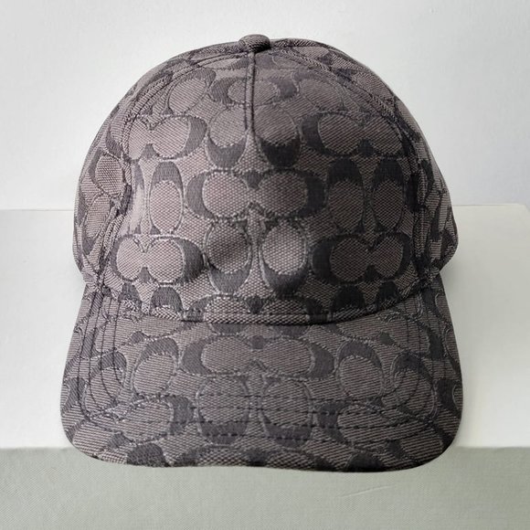 NWT $69 *NEW* COACH Baseball Hat In Metallic Signature - Picture 1 of 4